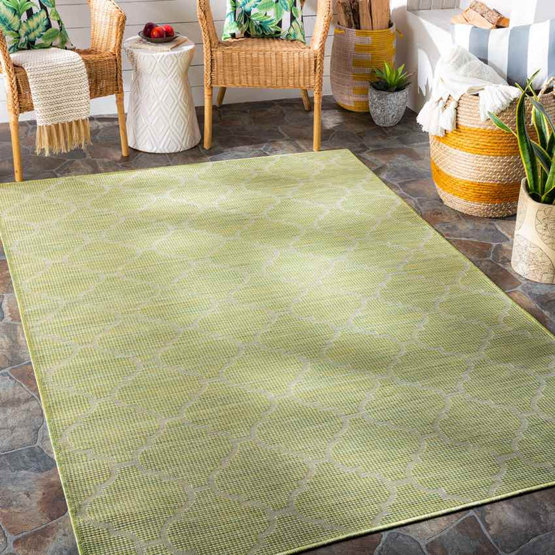 Bussum Traditional Grass Green Area Rug