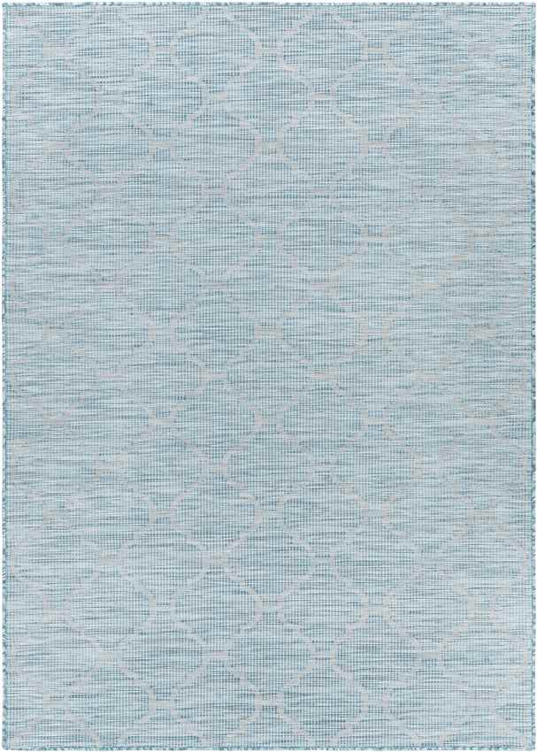 Bussum Traditional Aqua Area Rug