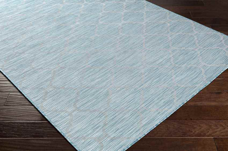 Bussum Traditional Aqua Area Rug