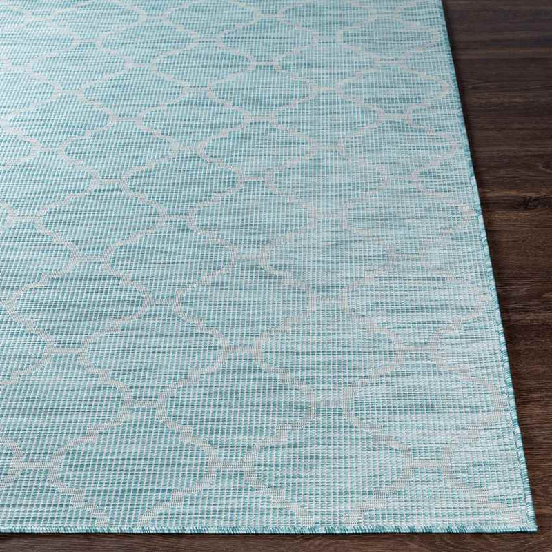 Bussum Traditional Aqua Area Rug