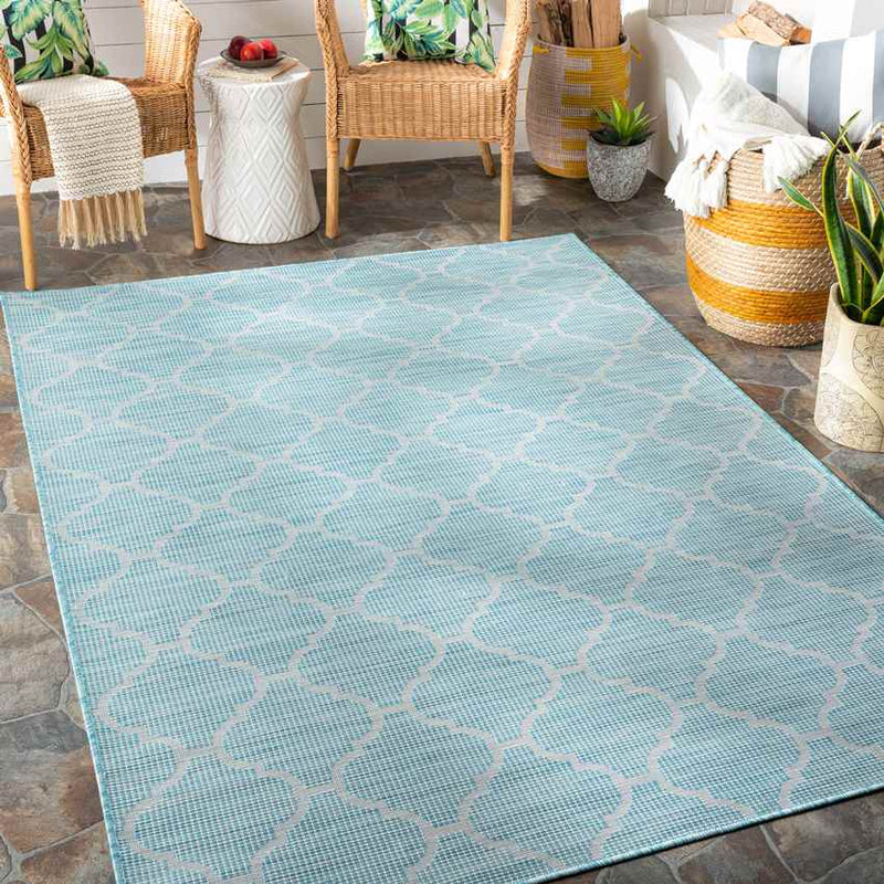 Bussum Traditional Aqua Area Rug