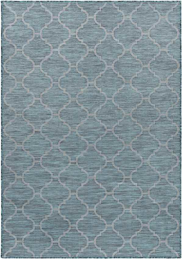 Bussum Traditional Teal Area Rug