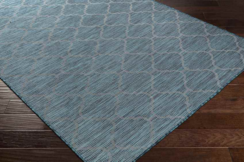 Bussum Traditional Teal Area Rug