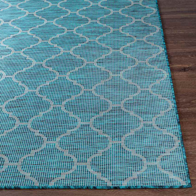 Bussum Traditional Teal Area Rug