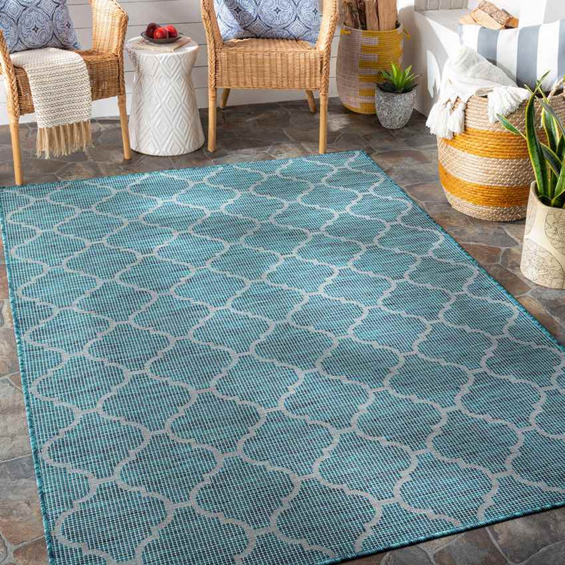 Bussum Traditional Teal Area Rug