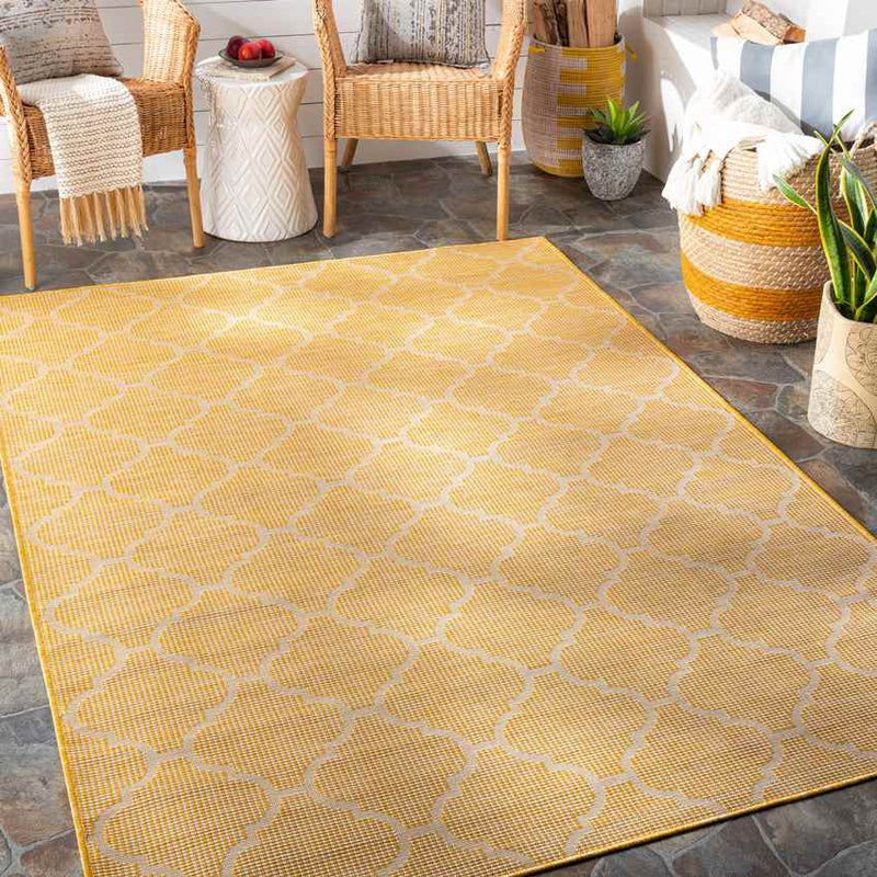 Bussum Traditional Saffron Area Rug