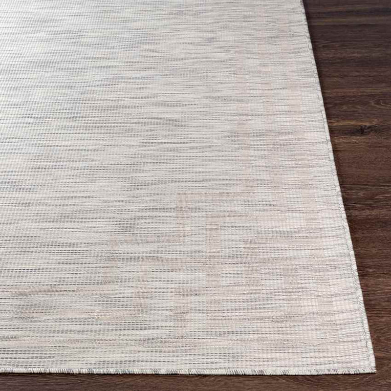 Calslagen Traditional Light Gray Area Rug