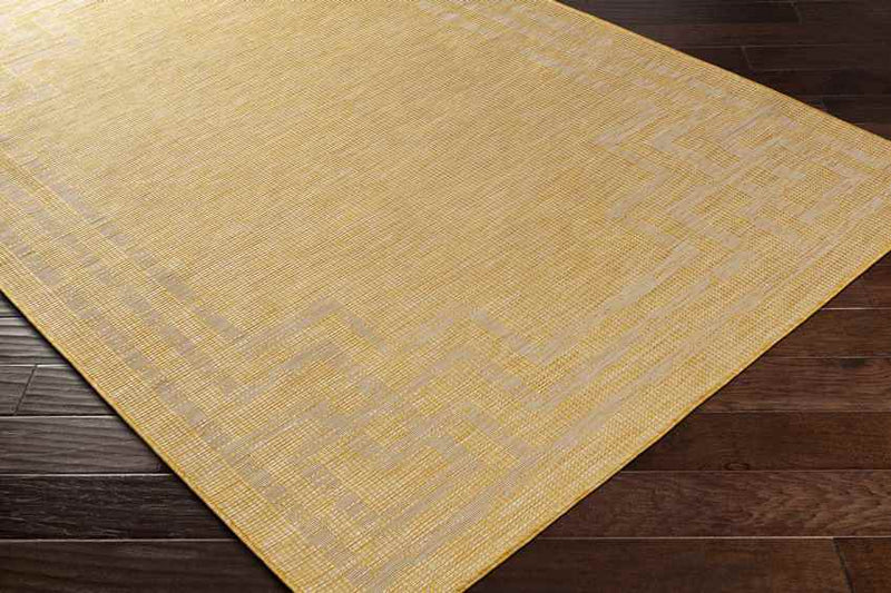 Calslagen Traditional Yellow Area Rug