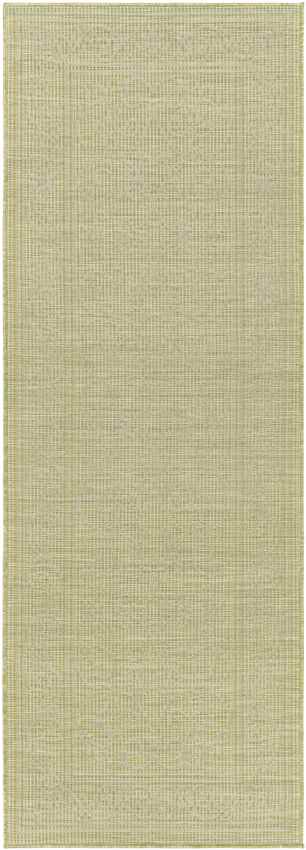 Castricum Traditional Light Green Area Rug