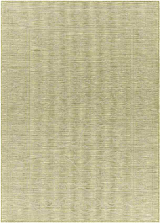 Castricum Traditional Light Green Area Rug