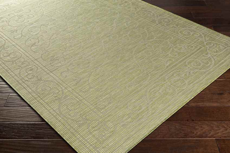 Castricum Traditional Light Green Area Rug