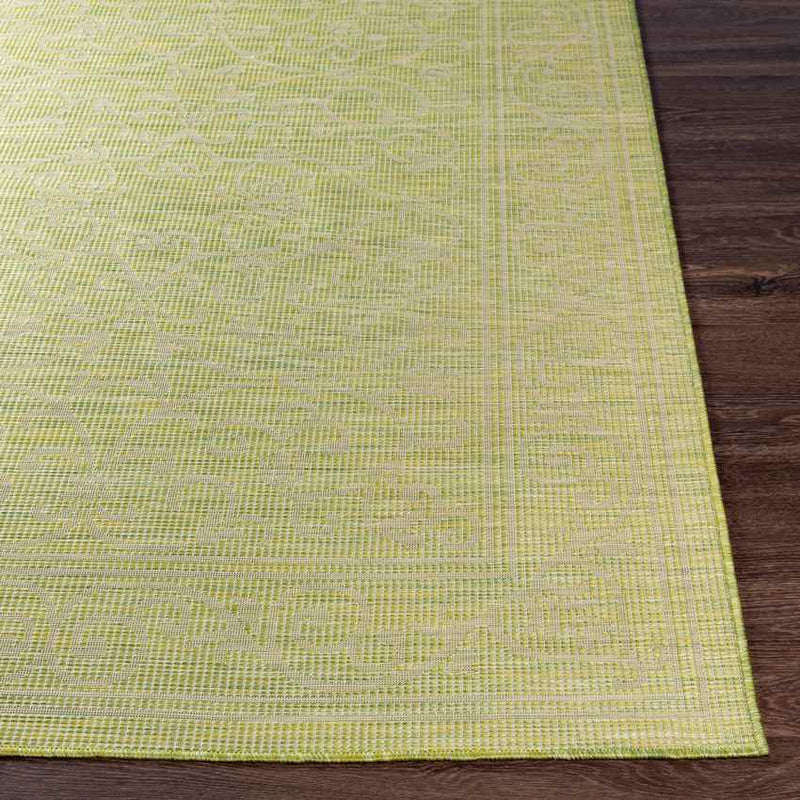 Castricum Traditional Light Green Area Rug