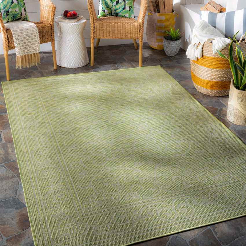 Castricum Traditional Light Green Area Rug