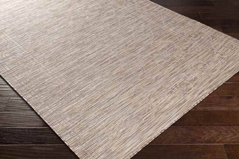 Castricum Traditional Taupe Area Rug