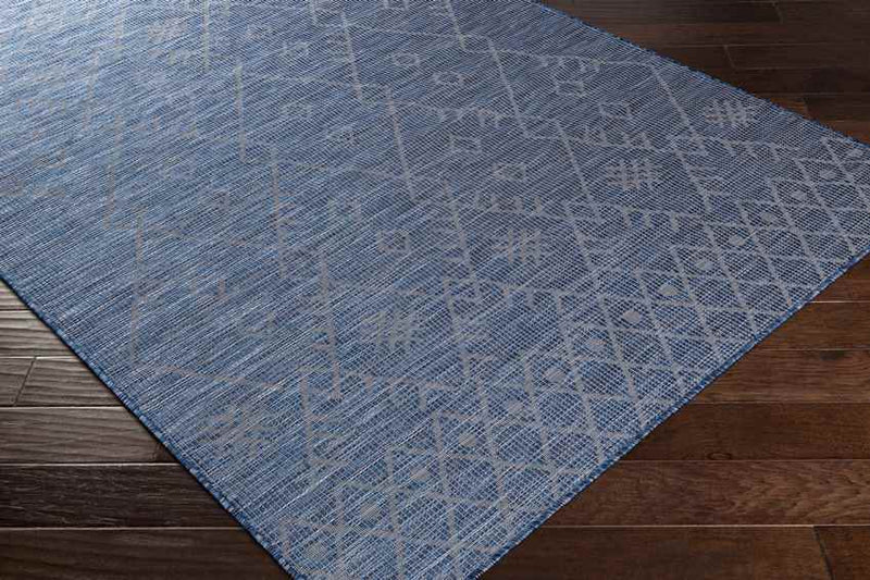 Catrijp Global Navy Area Rug