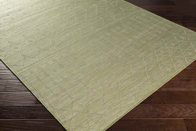 Cruquius Global Moss Area Rug