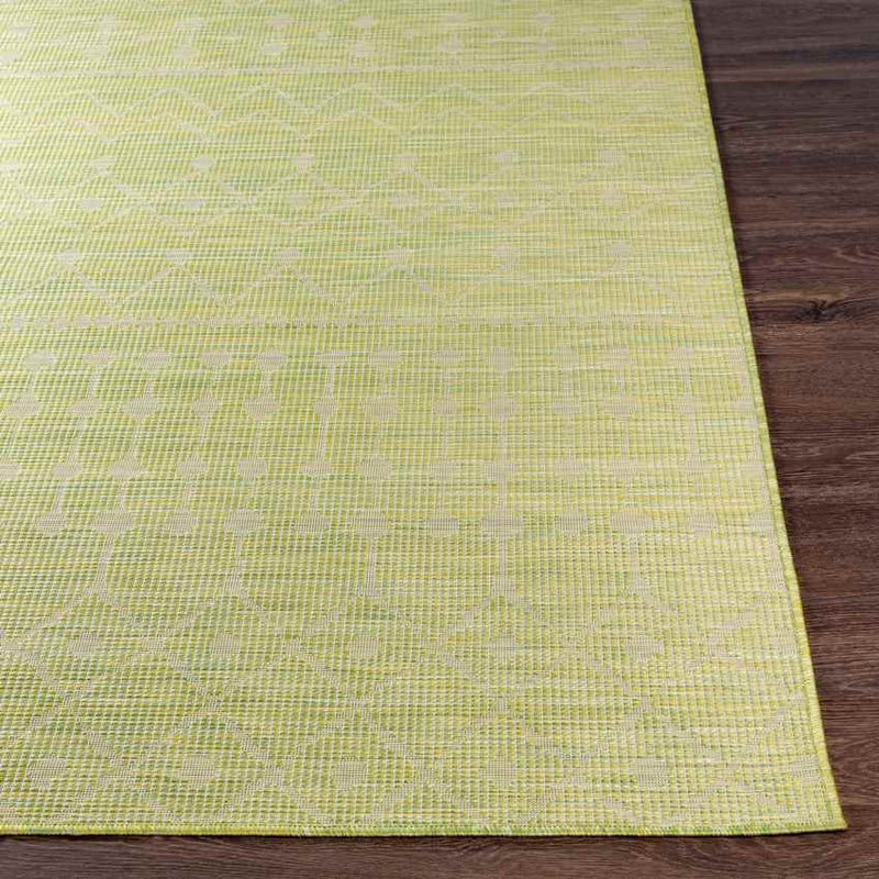 Cruquius Global Moss Area Rug