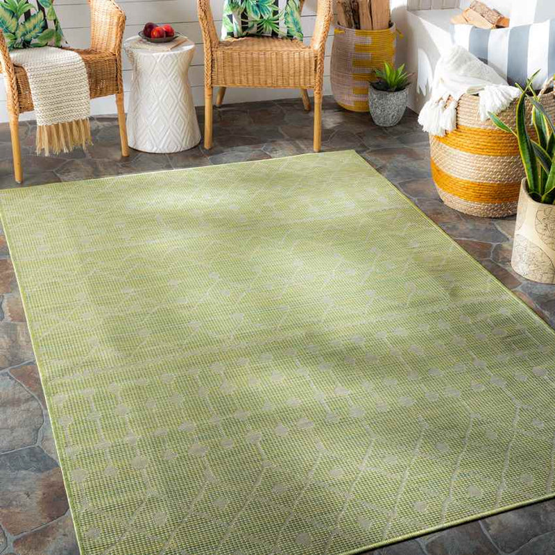 Cruquius Global Moss Area Rug