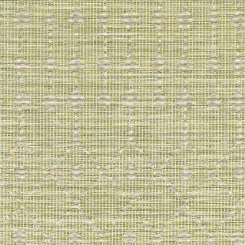 Cruquius Global Moss Area Rug