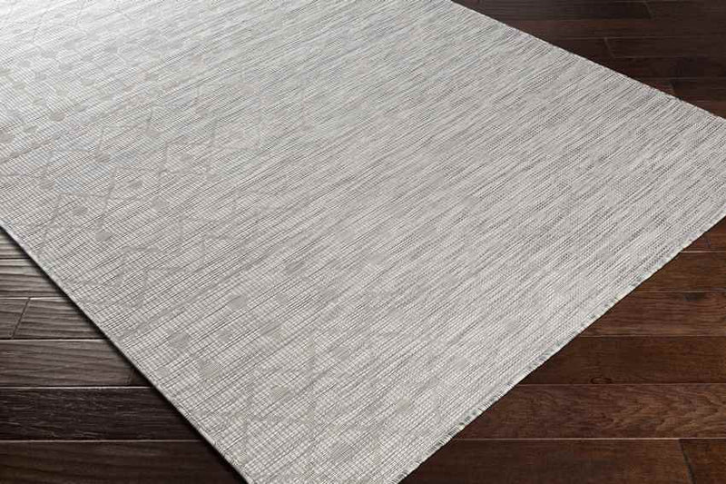 Cruquius Global Light Gray Area Rug