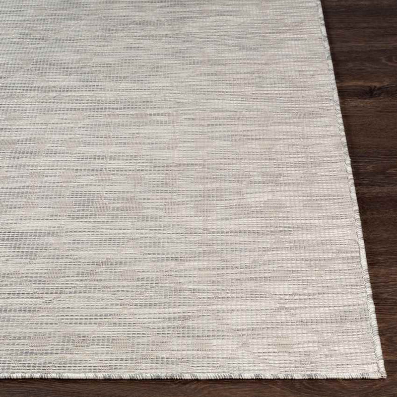 Cruquius Global Light Gray Area Rug