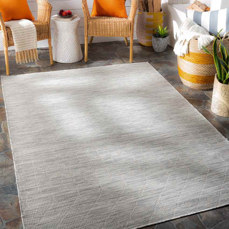 Cruquius Global Light Gray Area Rug