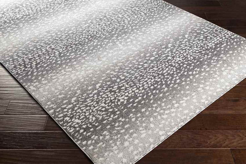 Coin Modern Charcoal Area Rug