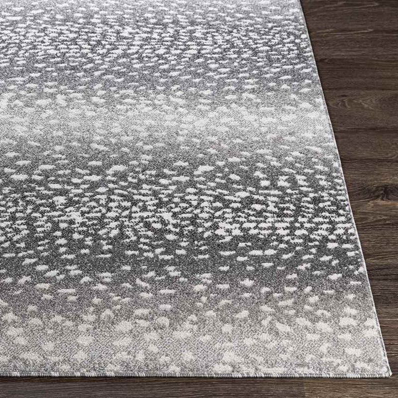 Coin Modern Charcoal Area Rug