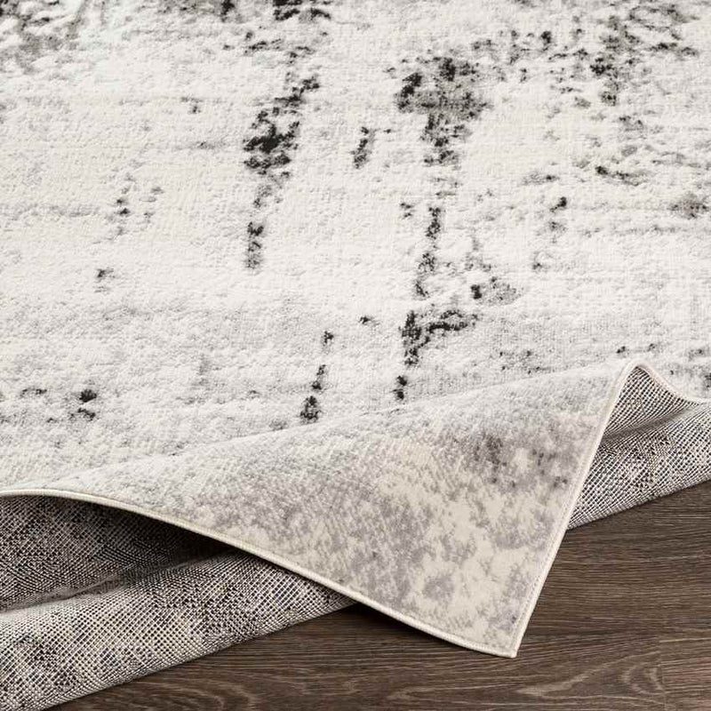 Ommeren Modern Light Gray Area Rug