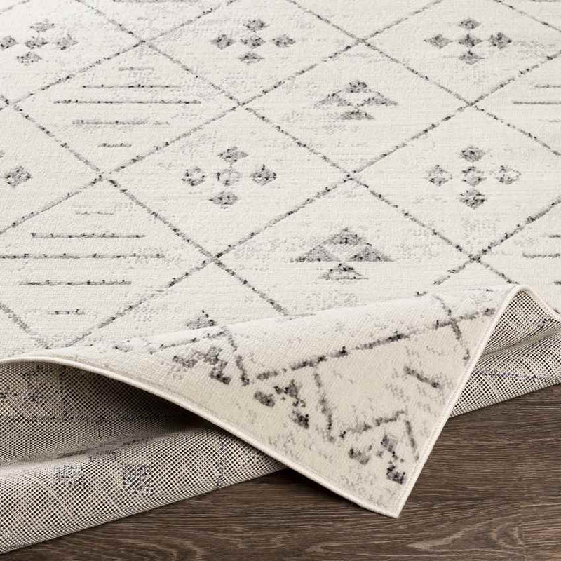 Nekkeveld Global Light Gray Area Rug