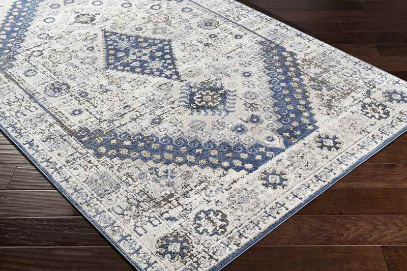 Lochem Traditional Light Gray Area Rug