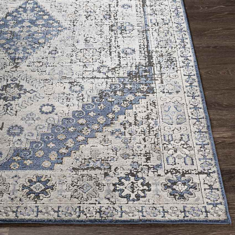 Lochem Traditional Light Gray Area Rug