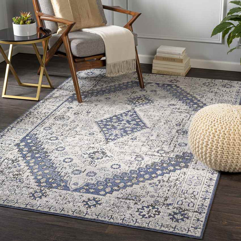 Lochem Traditional Light Gray Area Rug