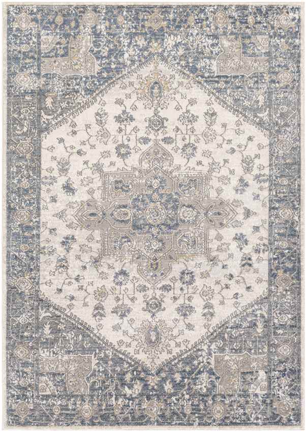 Hurwenen Traditional Medium Gray Area Rug