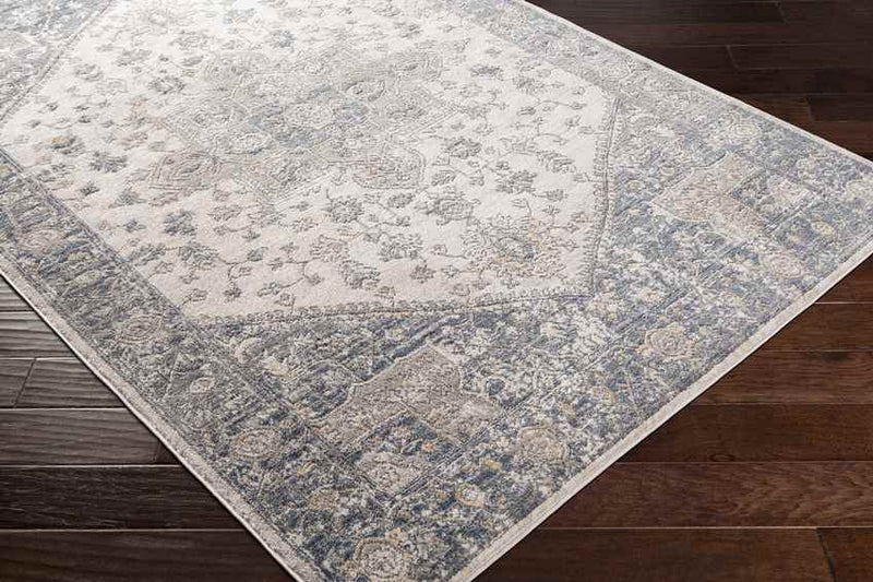 Hurwenen Traditional Medium Gray Area Rug