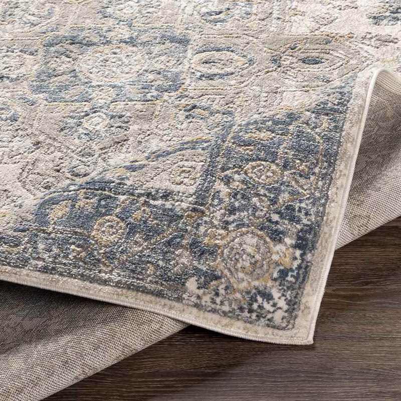 Hurwenen Traditional Medium Gray Area Rug