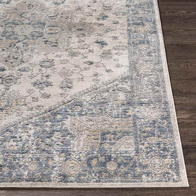 Hurwenen Traditional Medium Gray Area Rug