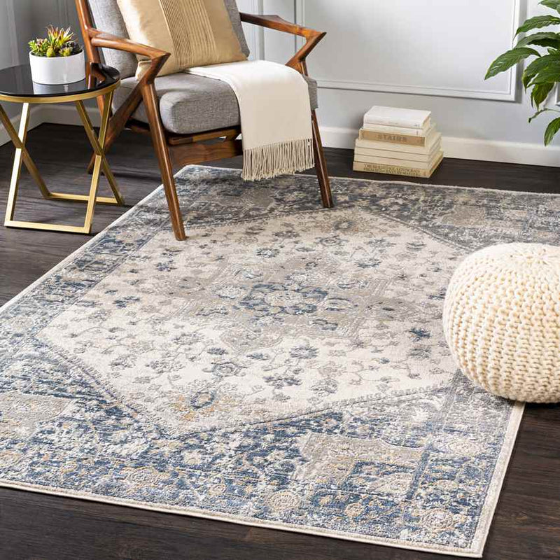 Hurwenen Traditional Medium Gray Area Rug