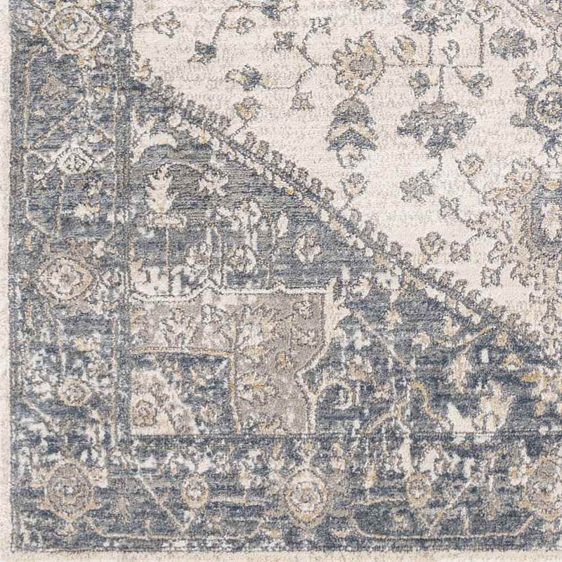 Hurwenen Traditional Medium Gray Area Rug