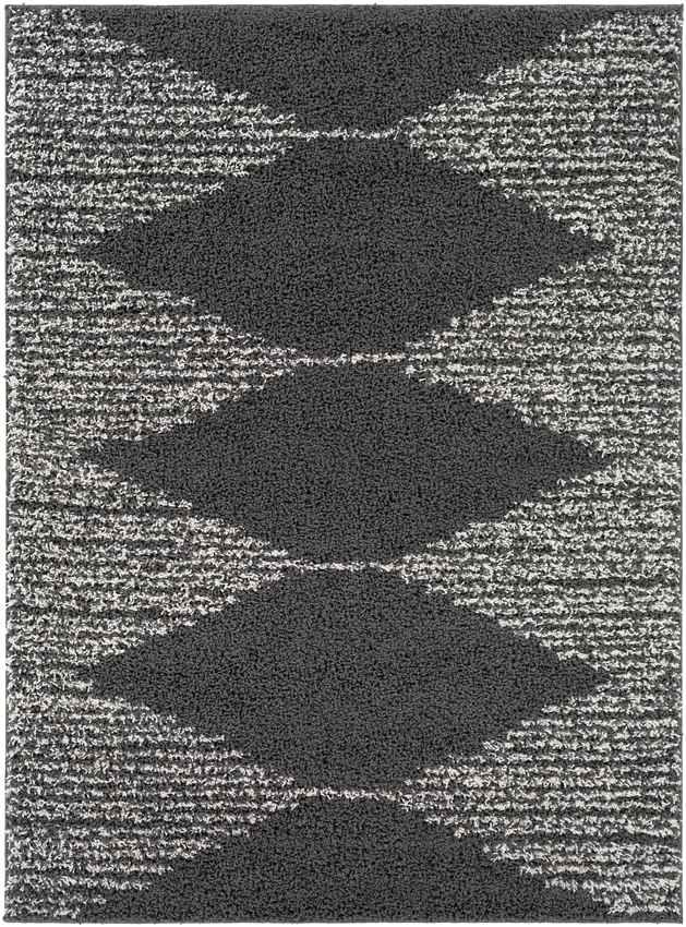 Haarlo Global Charcoal Area Rug