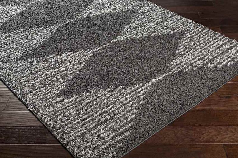 Haarlo Global Charcoal Area Rug