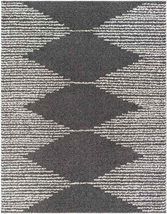 Haarlo Global Charcoal Area Rug