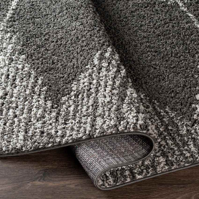 Haarlo Global Charcoal Area Rug