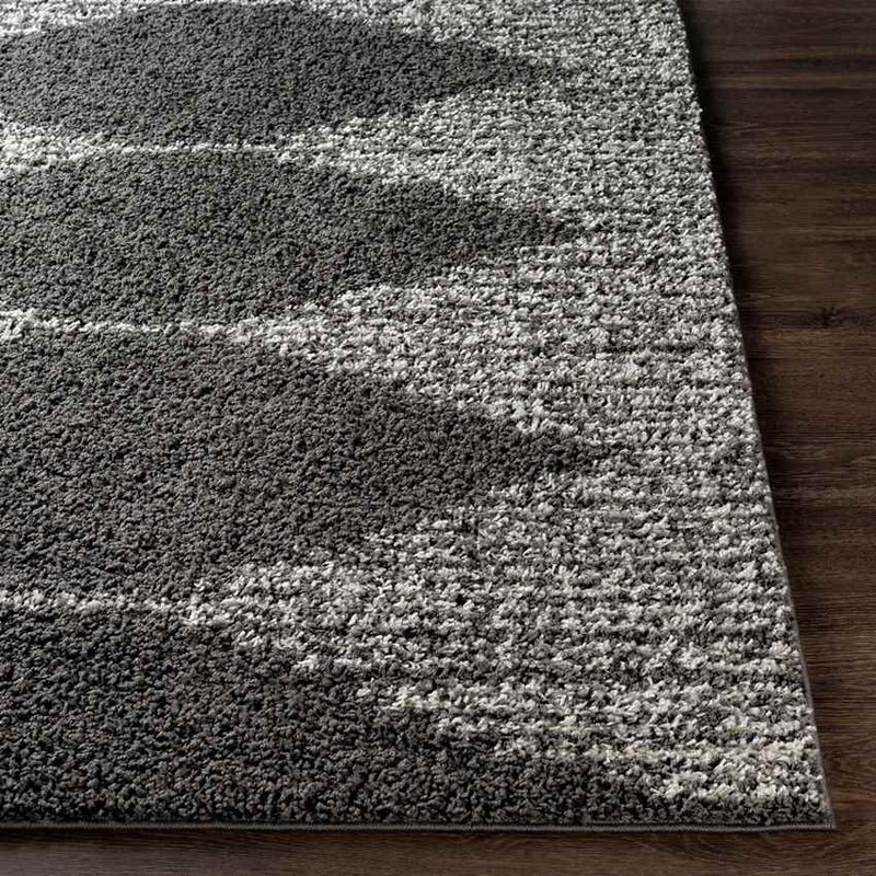 Haarlo Global Charcoal Area Rug