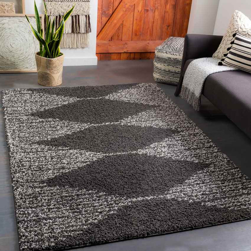 Haarlo Global Charcoal Area Rug