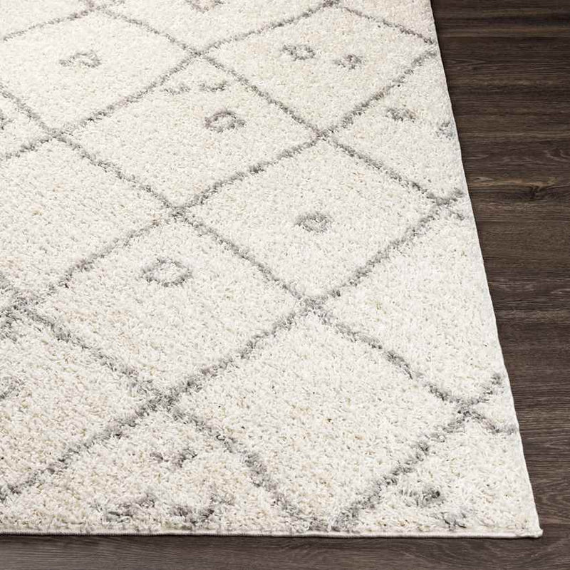 Harreveld Global Medium Gray Area Rug