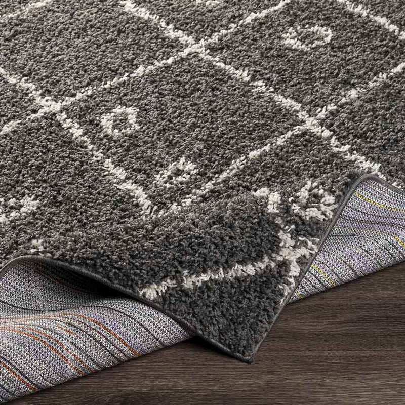 Harreveld Global Charcoal Area Rug