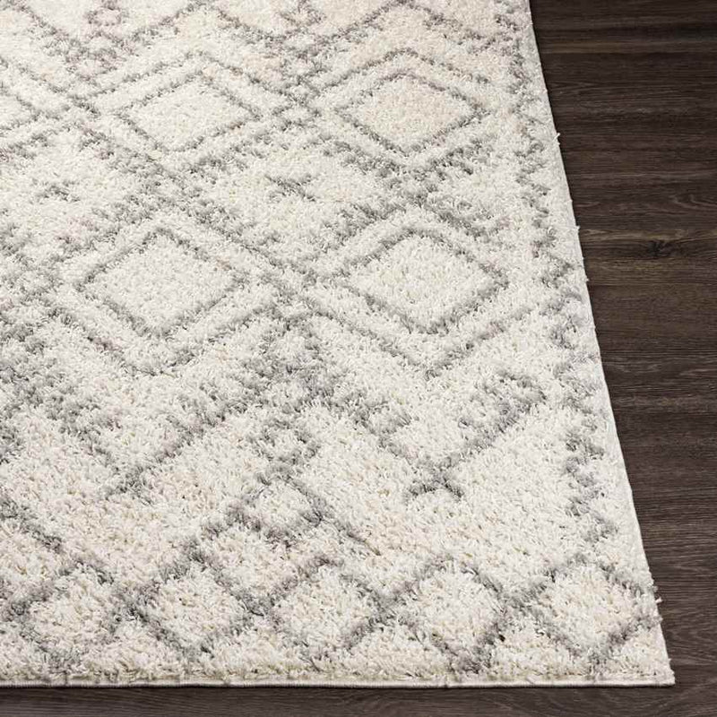 Heegh Global Medium Gray Area Rug