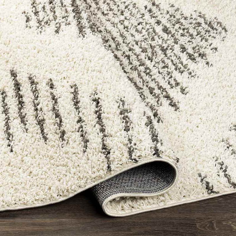 Heelweg Global Charcoal Area Rug