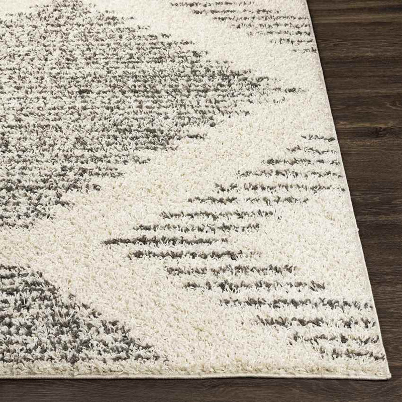 Heelweg Global Charcoal Area Rug